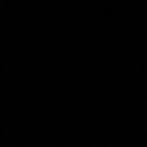 Meet your Posher, Amalia